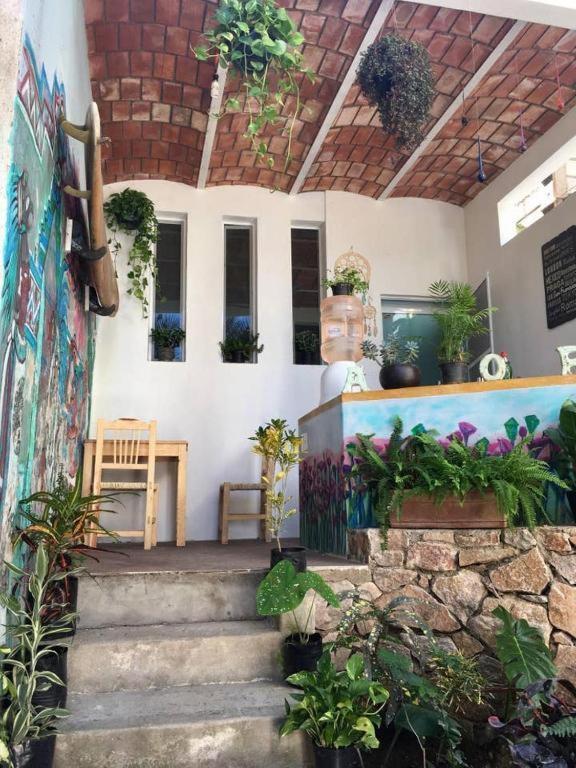 Palapa Chili # Villa Sayulita Eksteriør bilde