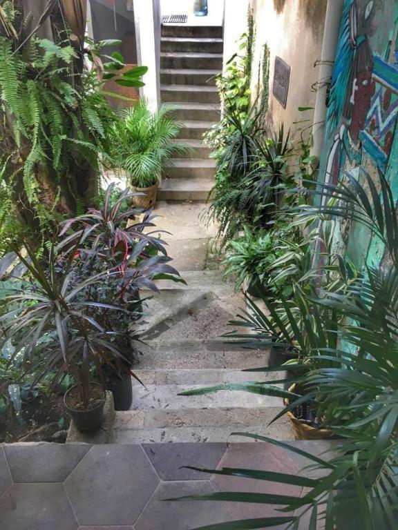 Palapa Chili # Villa Sayulita Eksteriør bilde
