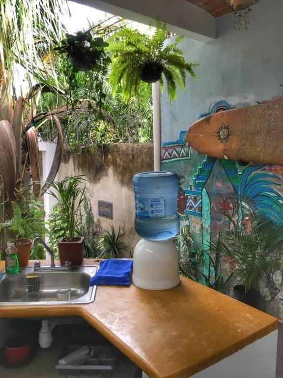 Palapa Chili # Villa Sayulita Eksteriør bilde
